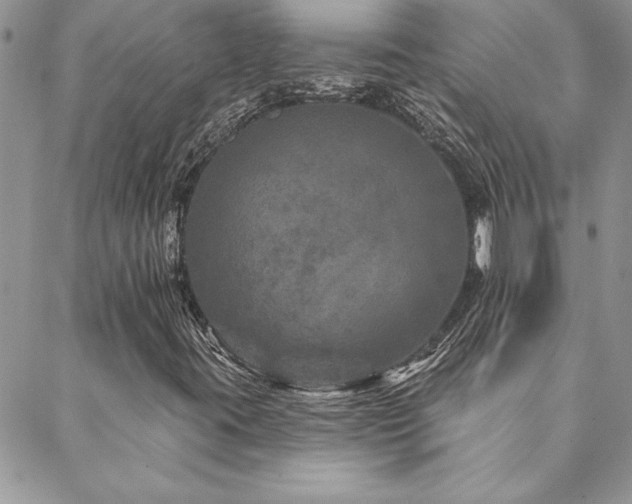 X0000088631395200705251421