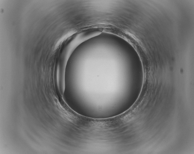 X0000088631402200705251421