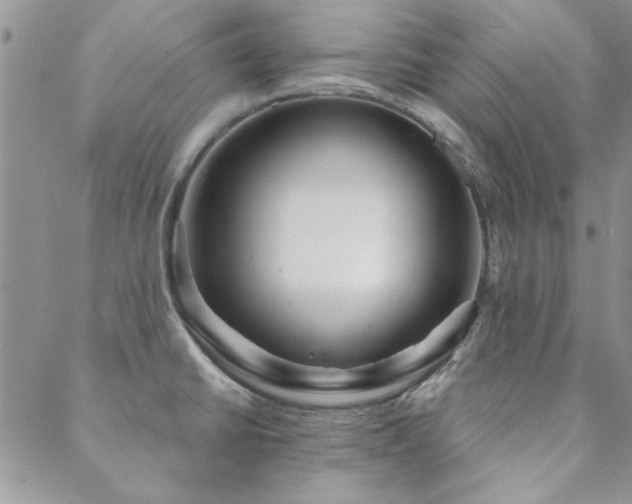 X0000088631430200705251421