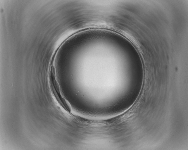 X0000088631440200705251421