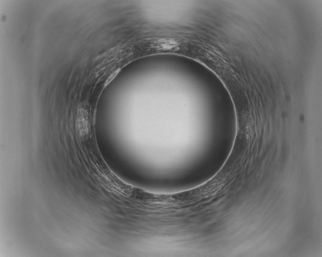 X0000088631442200705251421