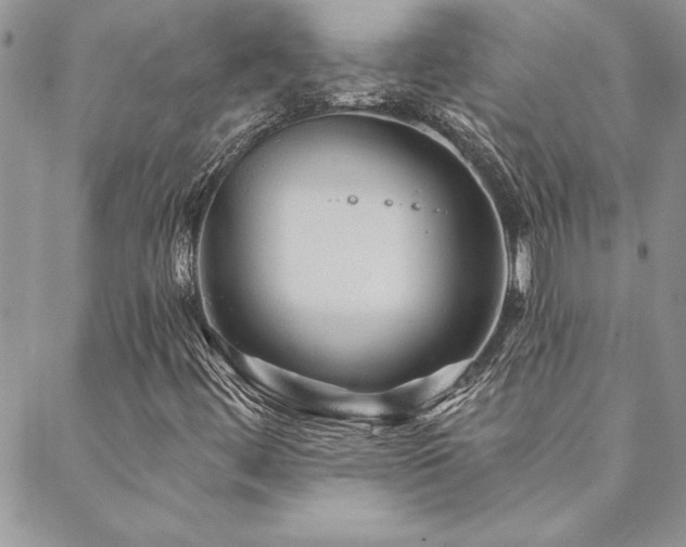 X0000088631444200705251421