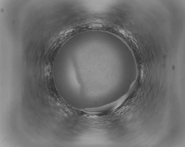 X0000088631445200705251421