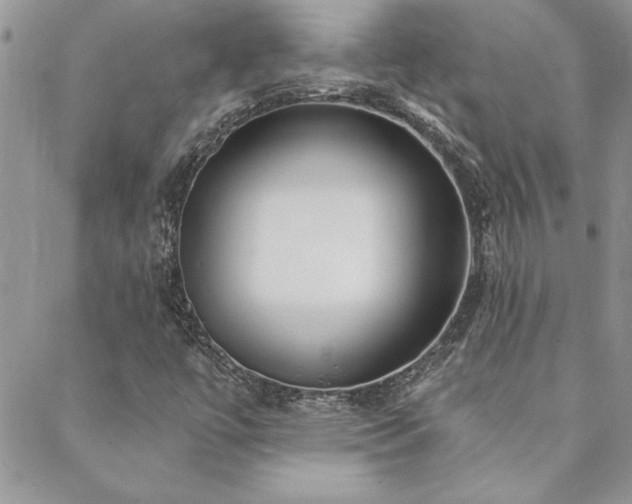 X0000088631447200705251421