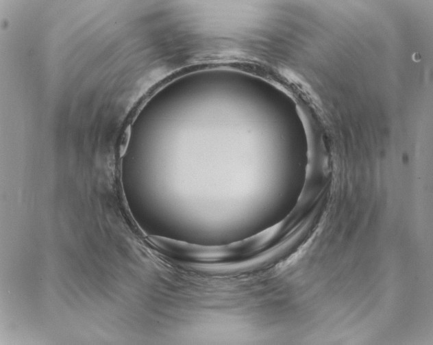 X0000088631457200705251420