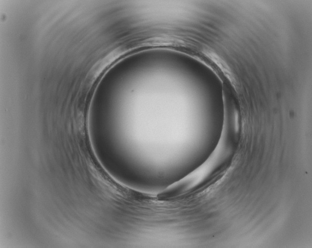 X0000088631465200705251420