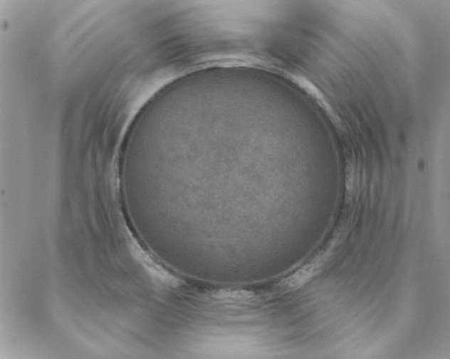 X0000088631466200705251420