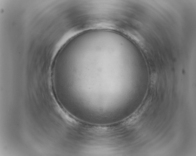 X0000088631470200705251420