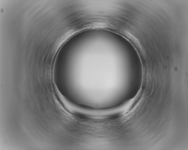 X0000088631473200705251420