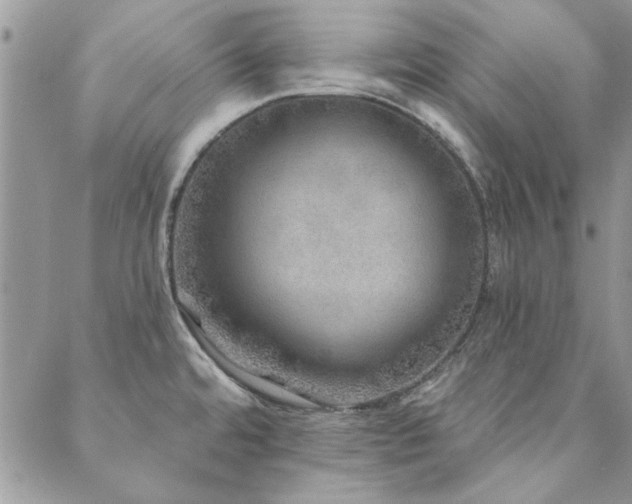 X0000088631480200705251420