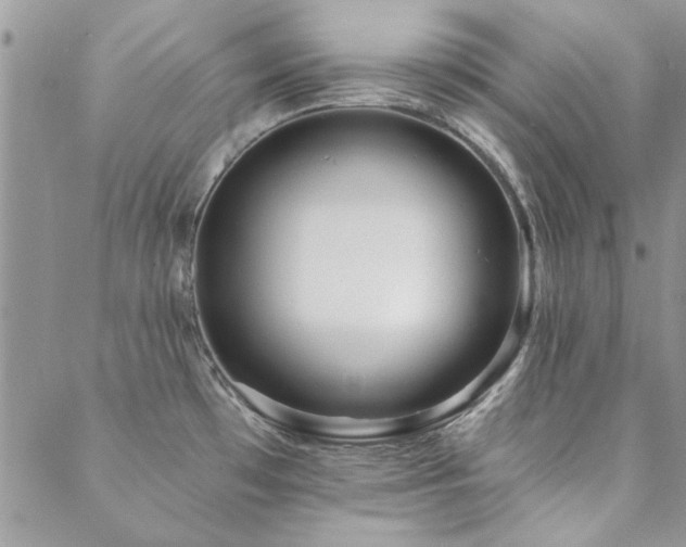 X0000088631481200705251420
