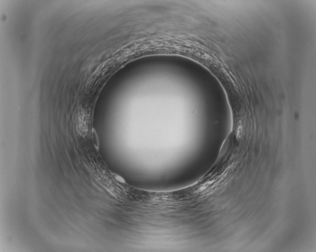 X0000088631490200705251419