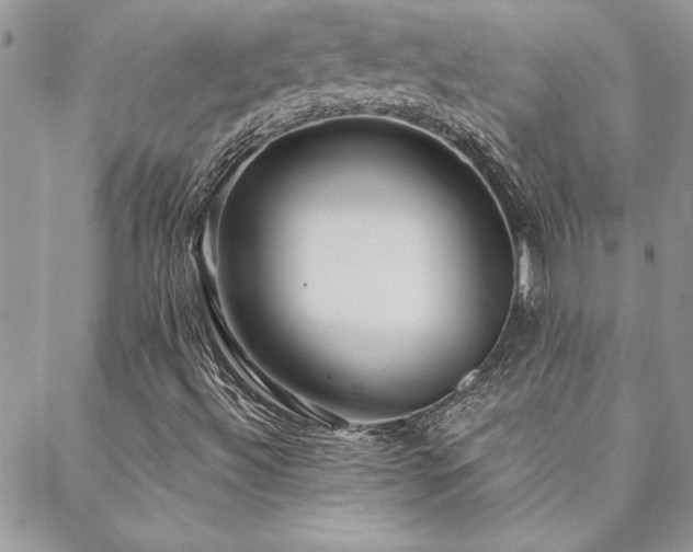X0000088631492200705251419