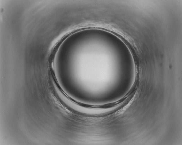X0000088631502200705251419