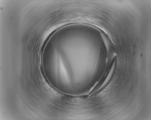 X0000088631515200705251419