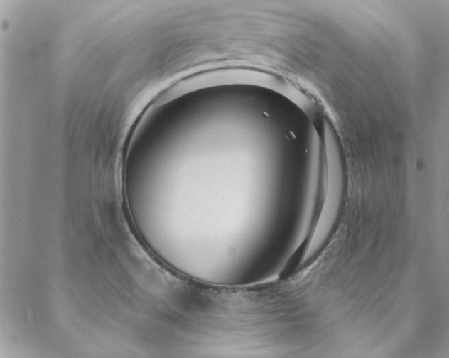 X0000088631516200705251419