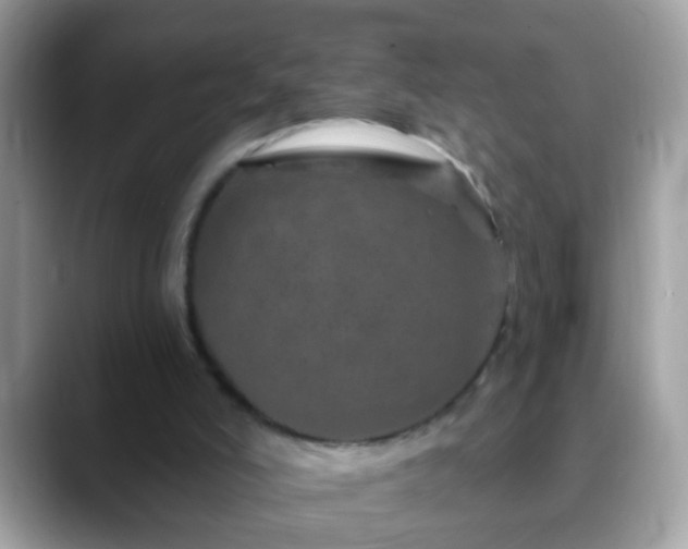 X0000088630006200706011153