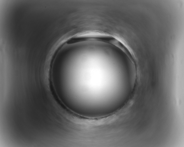 X0000088630007200706011153