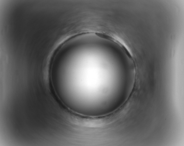 X0000088630008200706011153