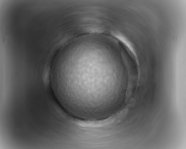 X0000088630009200706011153