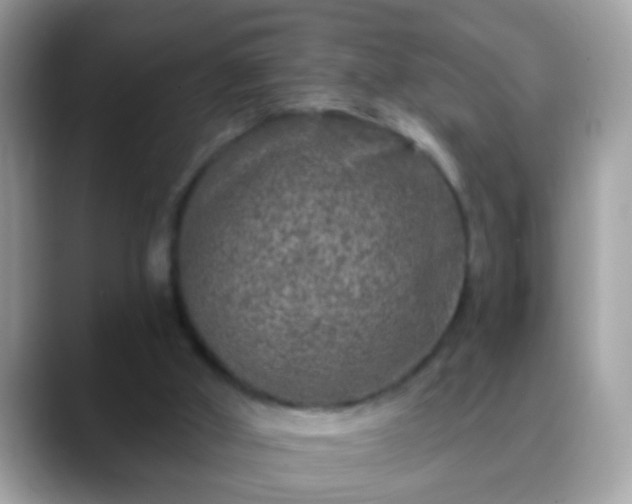 X0000088630010200706011153