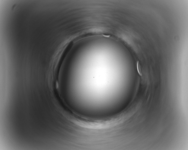 X0000088630015200706011153