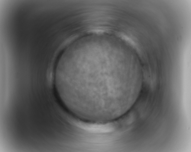 X0000088630016200706011153