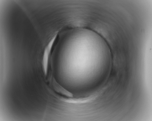 X0000088630017200706011153