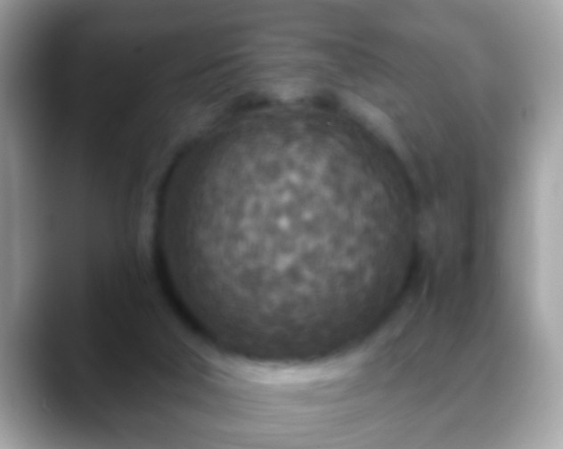 X0000088630018200706011153