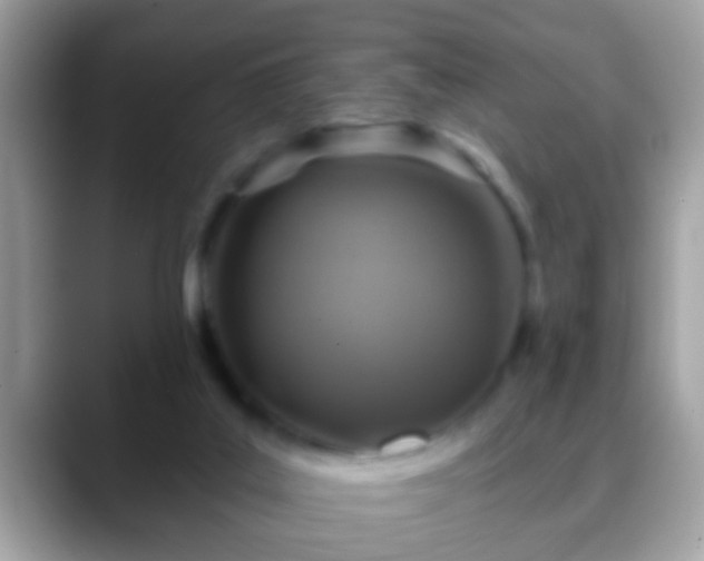 X0000088630019200706011153