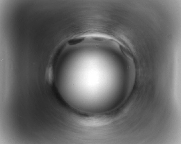 X0000088630020200706011153