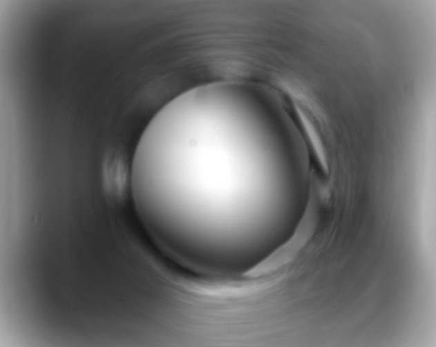 X0000088630021200706011153