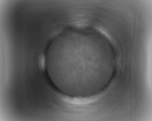 X0000088630022200706011152