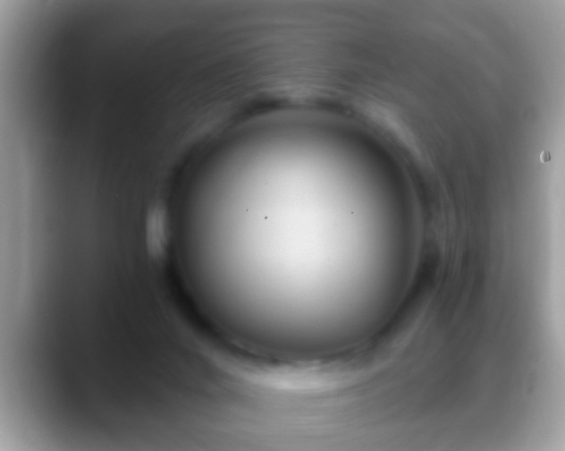 X0000088630024200706011152