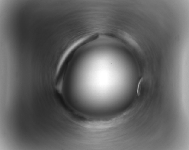 X0000088630025200706011152