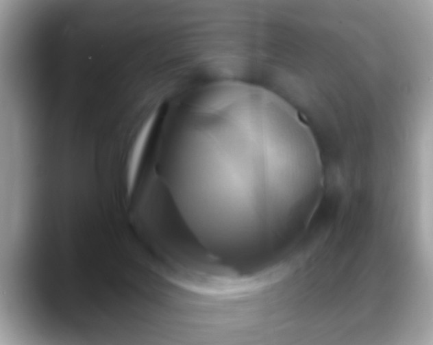 X0000088630027200706011152