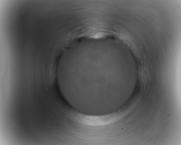 X0000088630030200706011152