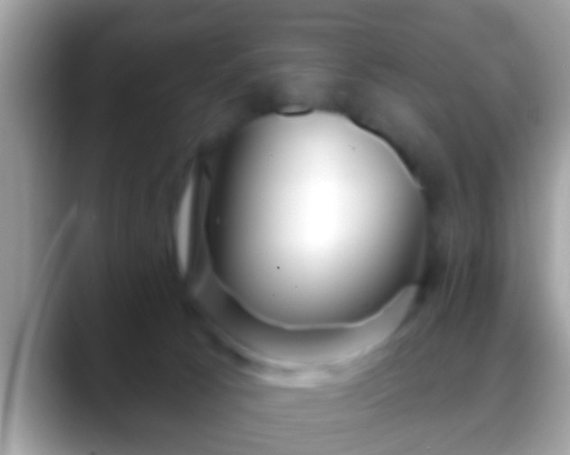 X0000088630033200706011152