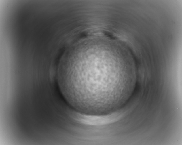 X0000088630034200706011152