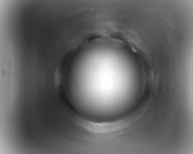 X0000088630038200706011152