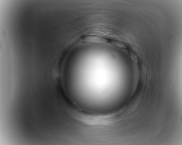 X0000088630040200706011152