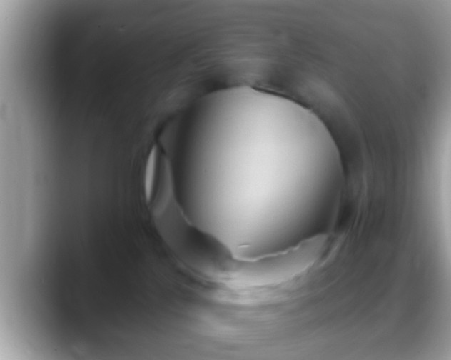 X0000088630041200706011152