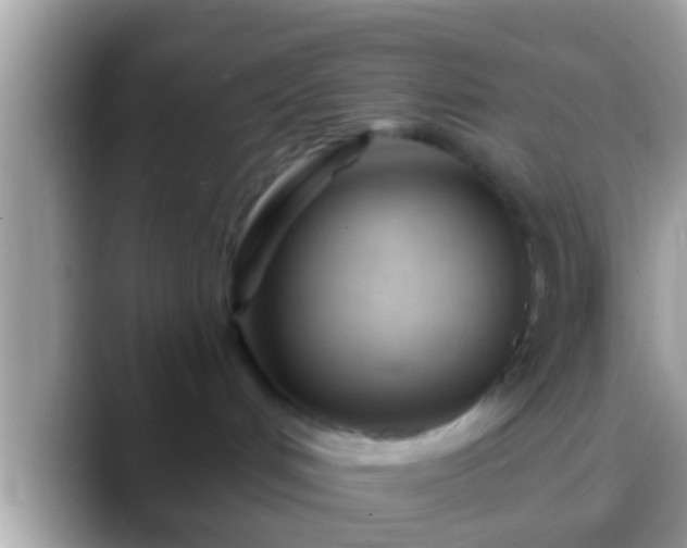 X0000088630048200706011152