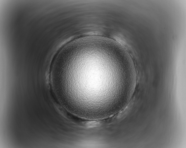 X0000088630050200706011152