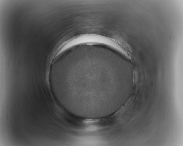 X0000088630051200706011152