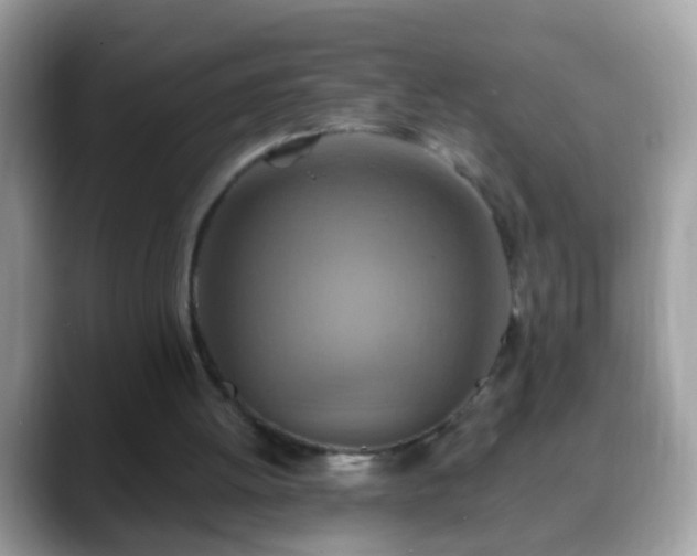 X0000088630052200706011152