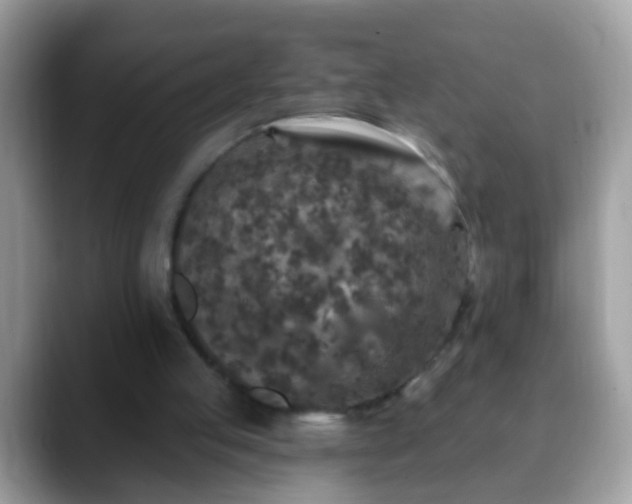 X0000088630053200706011152