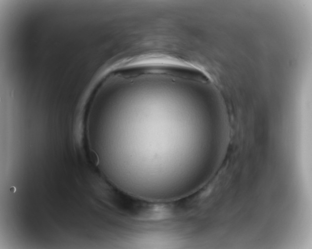 X0000088630056200706011152