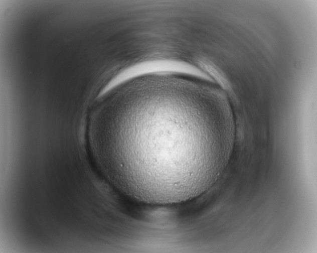 X0000088630058200706011152