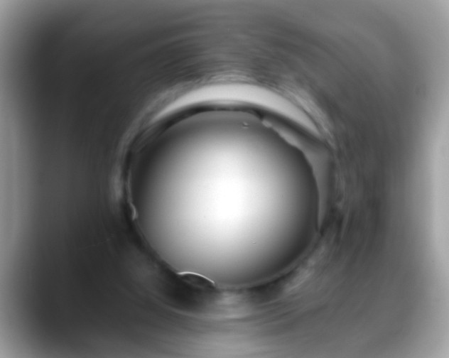 X0000088630060200706011152